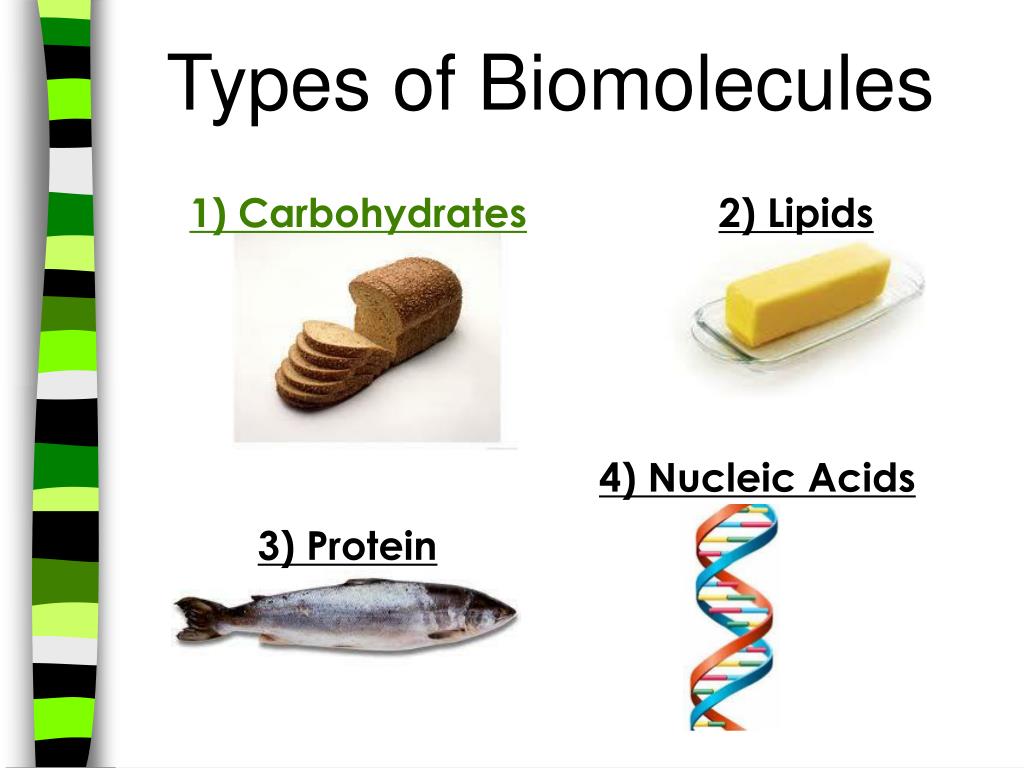 powerpoint presentation on biomolecules