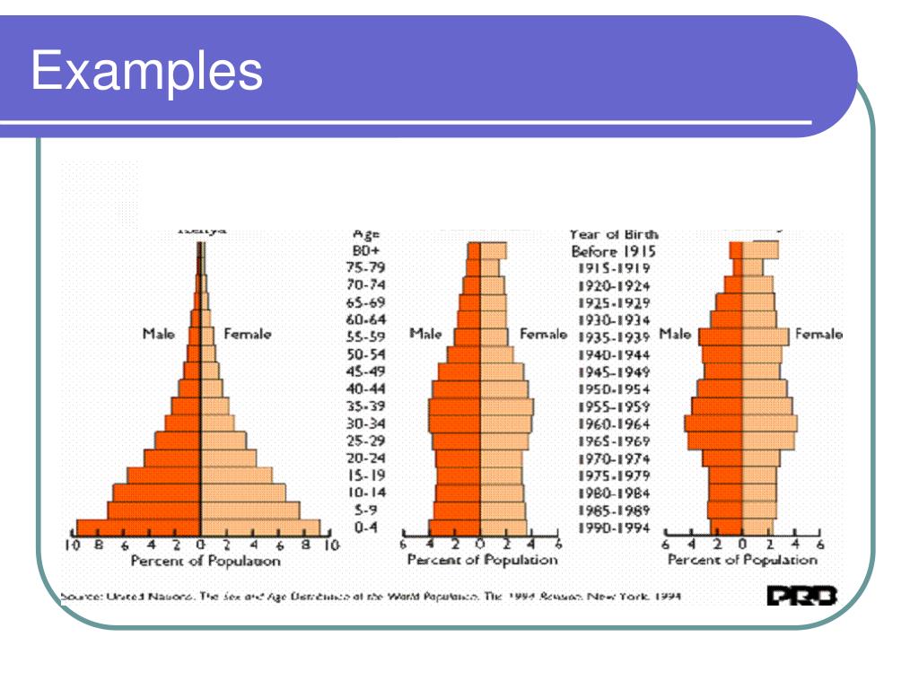 PPT - Population Pyramids PowerPoint Presentation, free download - ID ...