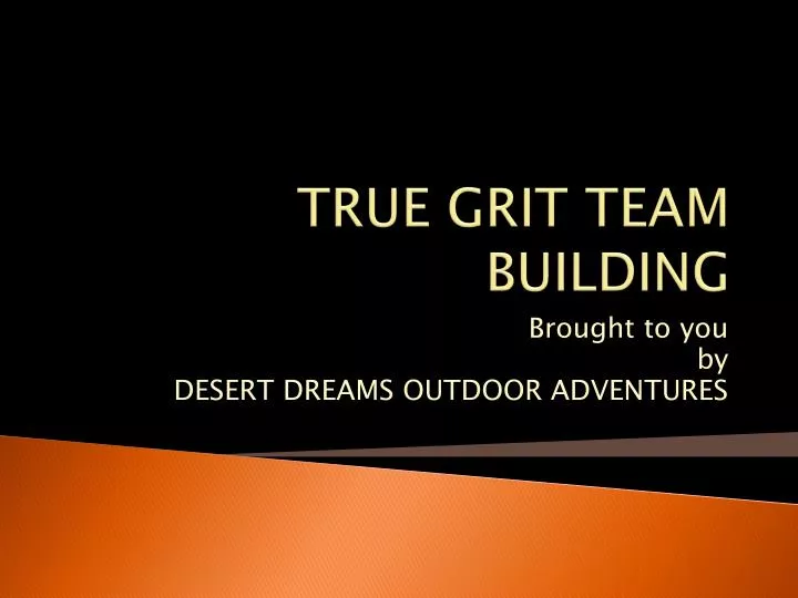 PPT TRUE GRIT TEAM BUILDING PowerPoint Presentation, free download ID6019984