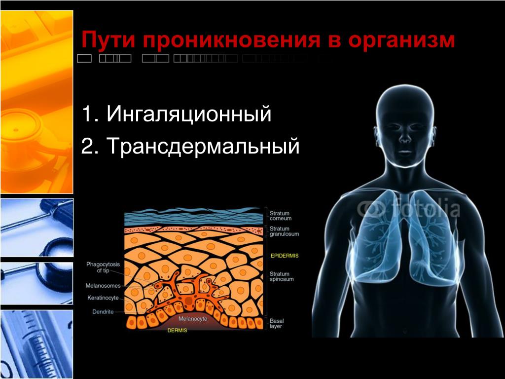 Сероводород на организм. Сероводород воздействие на человека. Сероводород воздействие на организм человека. Пути проникновения в организм. Характер воздействия сероводорода на организм человека.