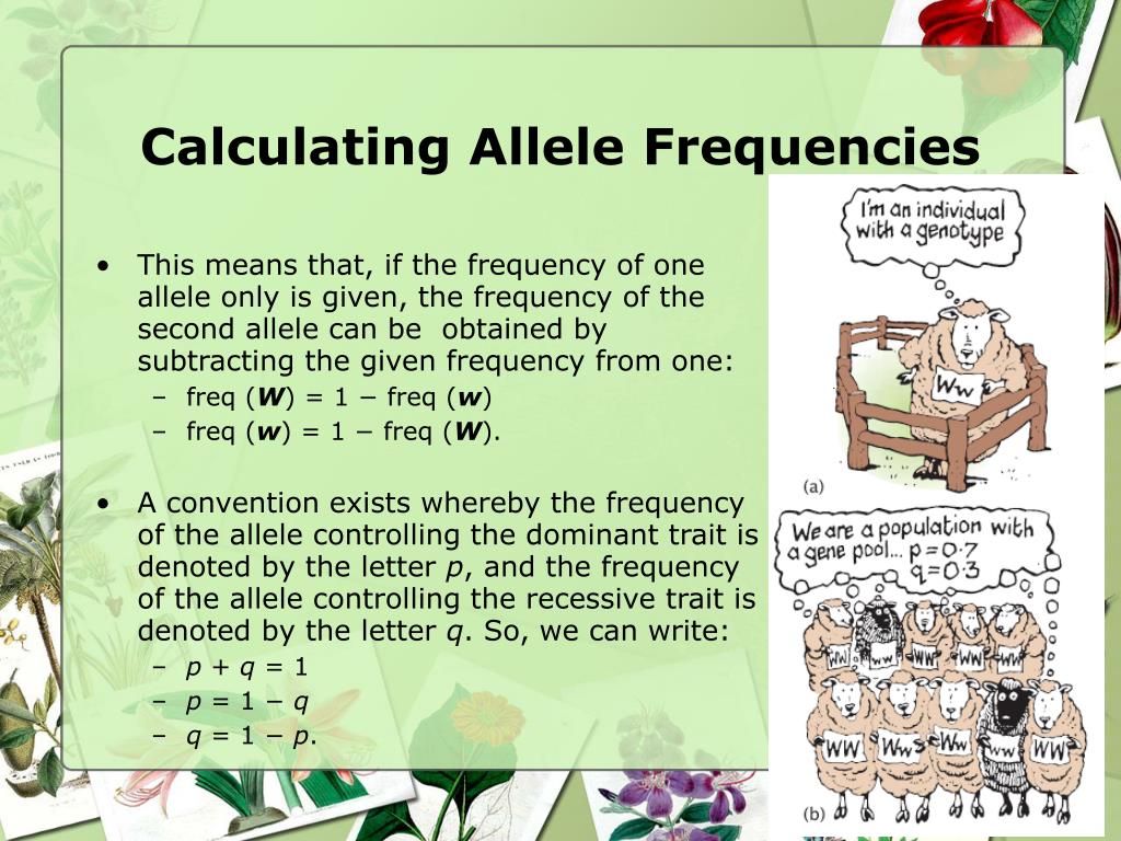 ppt-continuous-and-discontinuous-variation-genes-in-population-powerpoint-presentation-id