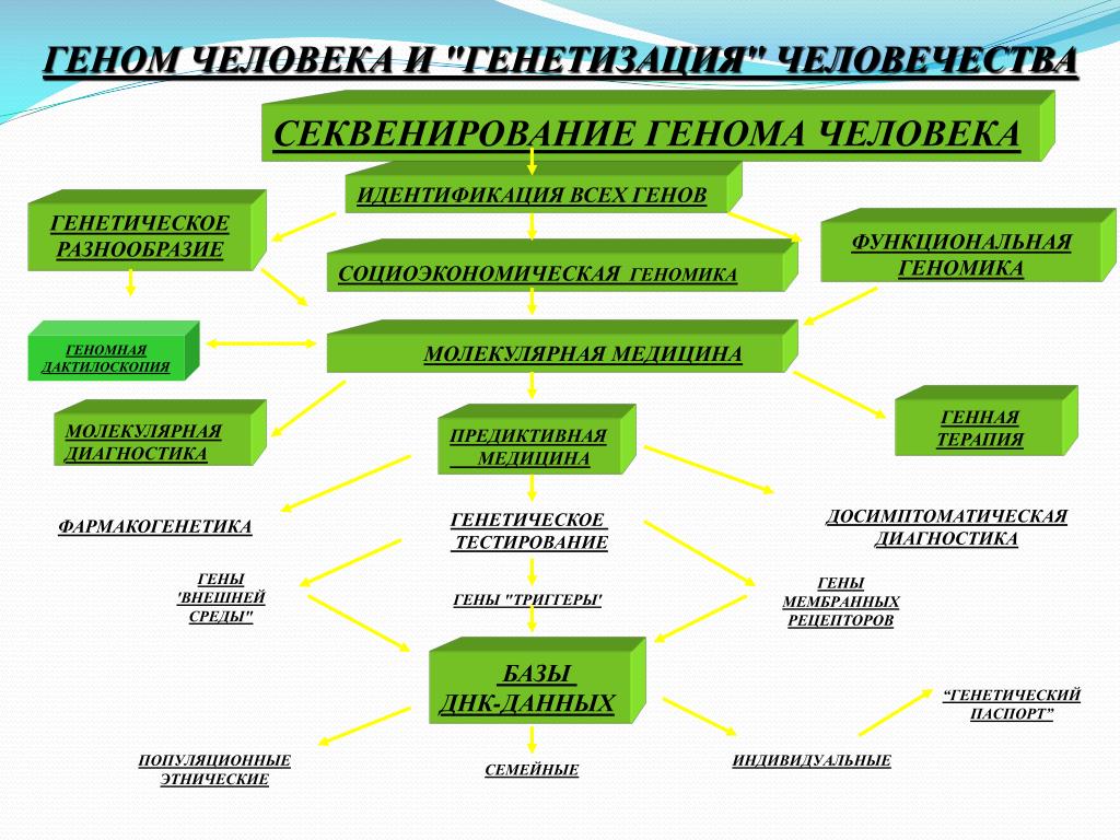 Геном человека таблица. Секвенирование генетика. Секвенирования генома человека. Метод секвенирования генома человека. Стиквинирование геномы.