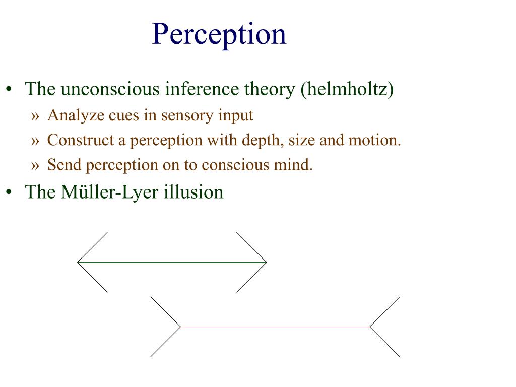 size perception definition size perception definition