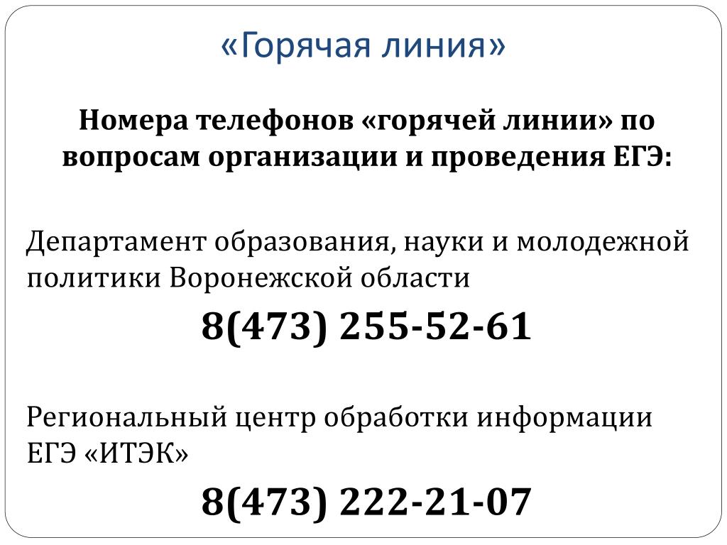 Номер телефона отдела образования области