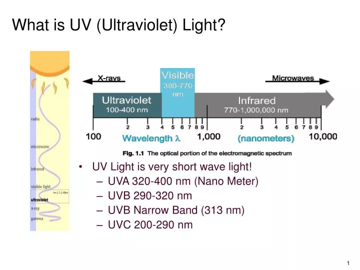 PPT What is UV (Ultraviolet) Light? PowerPoint Presentation, free