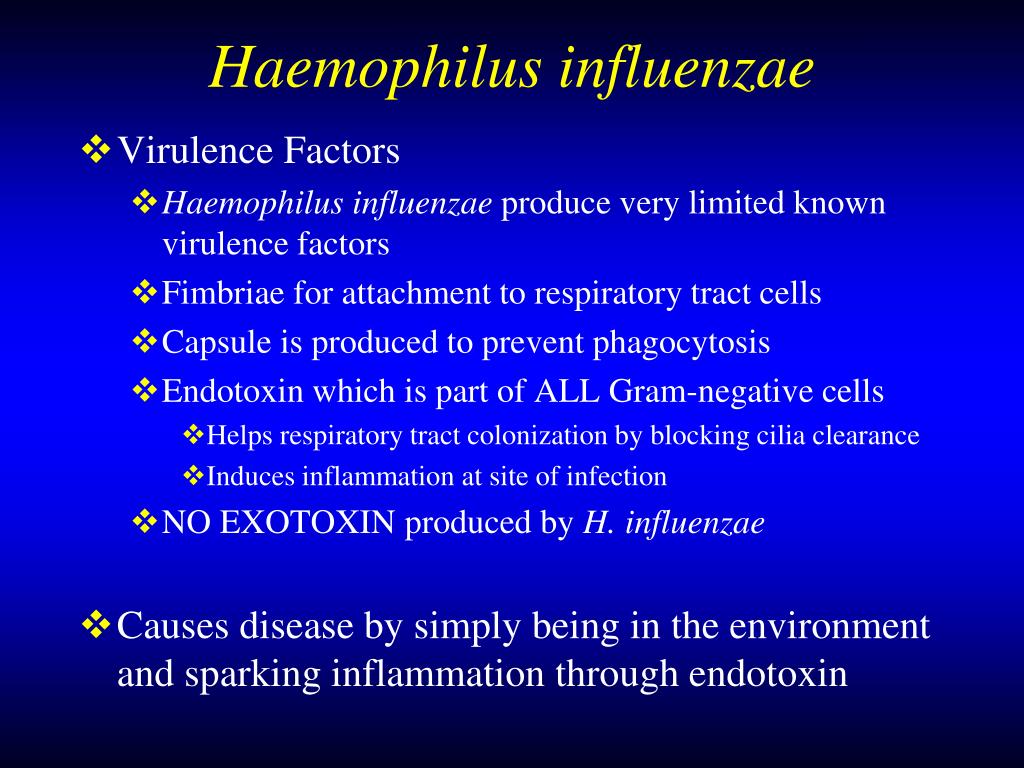 Haemophilus influenzae b