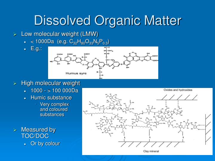 PPT - Species In Natural Freshwater Central Equilibriums In Natural ...