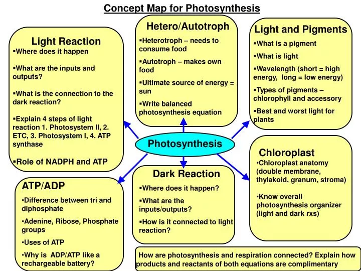 PPT Concept Map For Photosynthesis PowerPoint Presentation