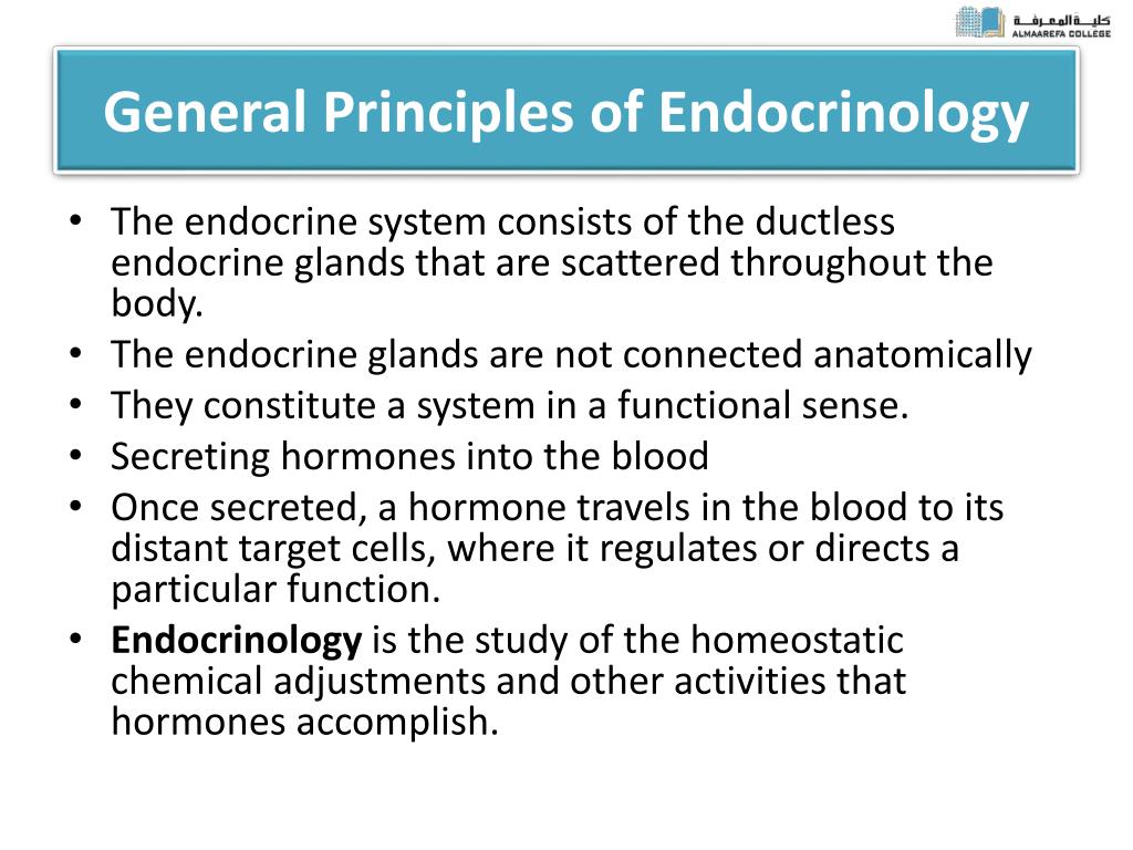 PPT OVERVIEW ENDOCRINE SYSTEM PowerPoint Presentation, free download ID6031722