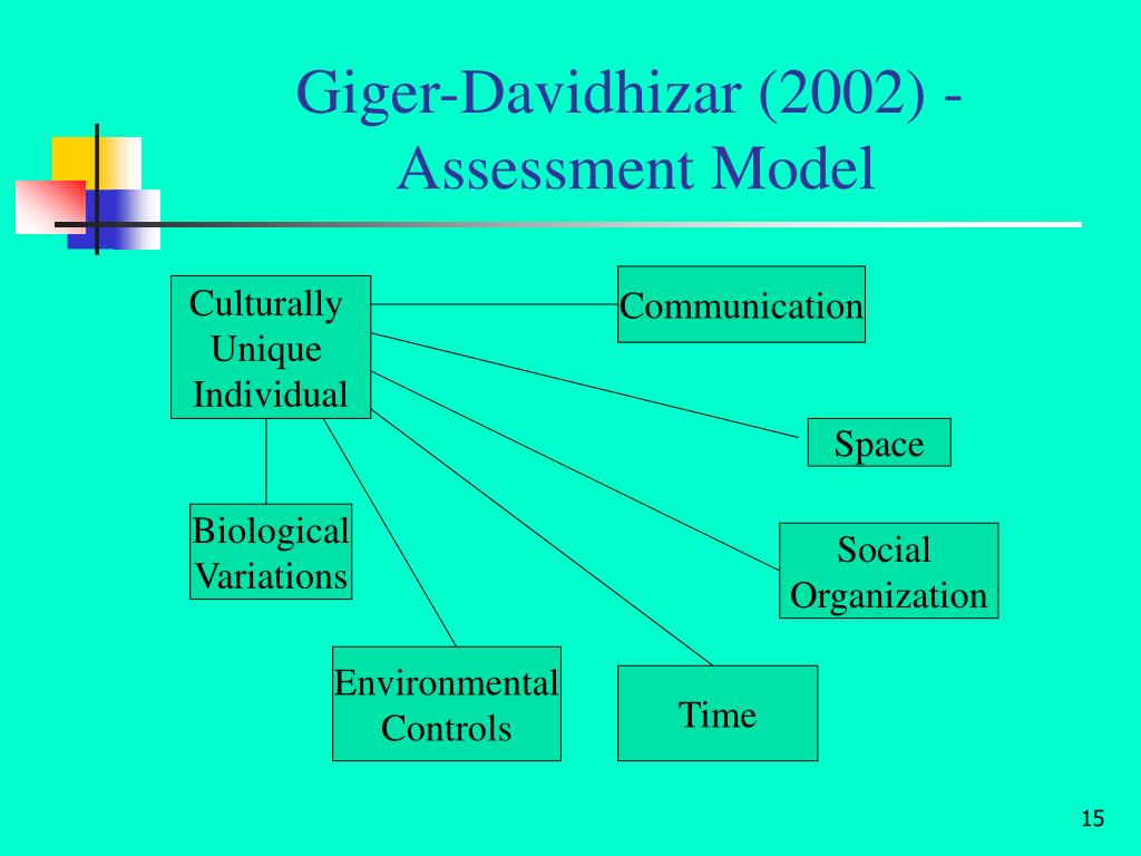 the giger and davidhizar transcultural assessment model