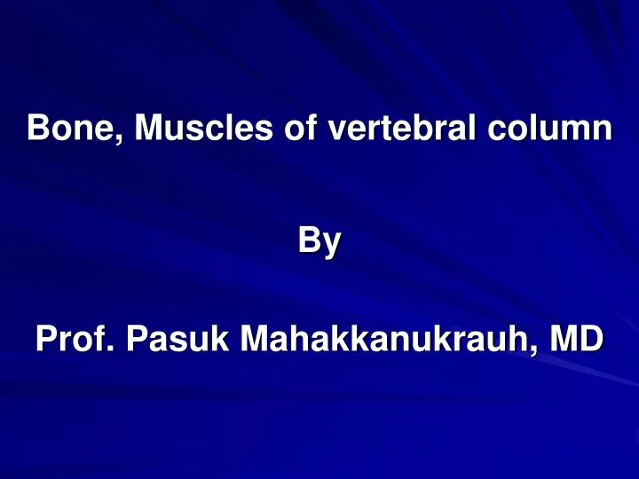 bone muscles of vertebral column n.