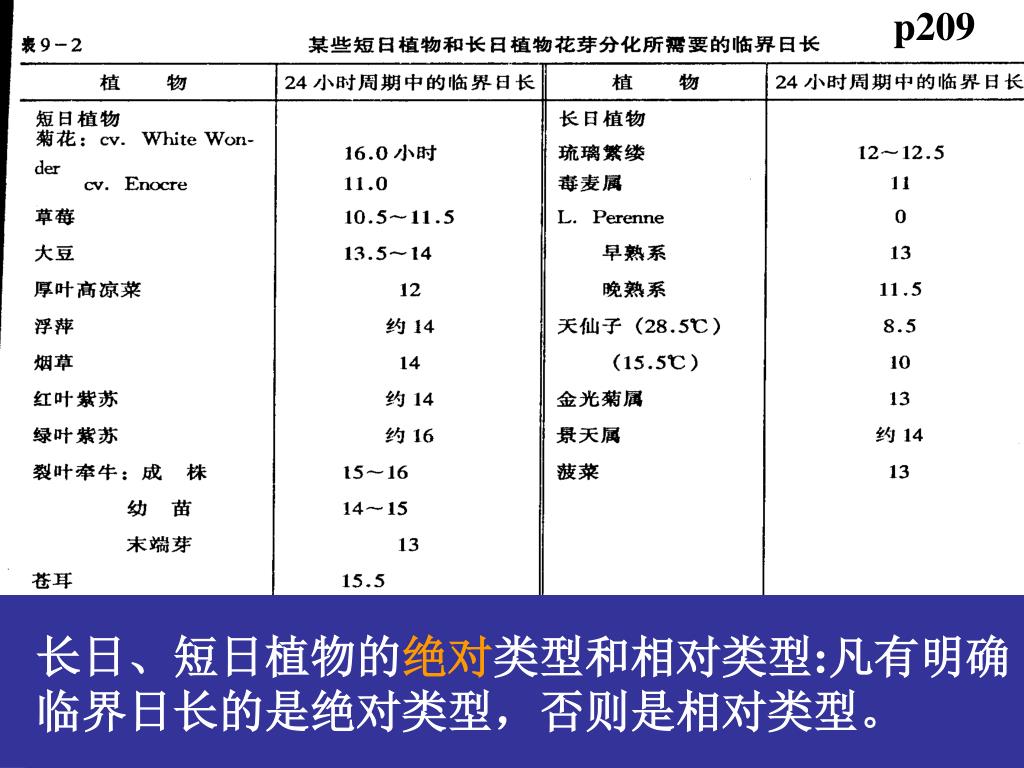 Ppt 第九章植物的成花生理powerpoint Presentation Free Download Id Ppt 第九章植物的成花生理powerpoint Presentation Free Download Id