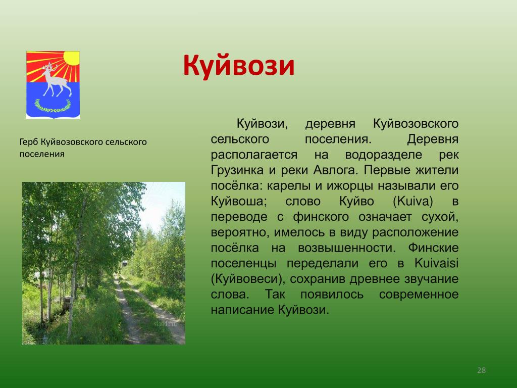 НИИПГ - Генеральные планы