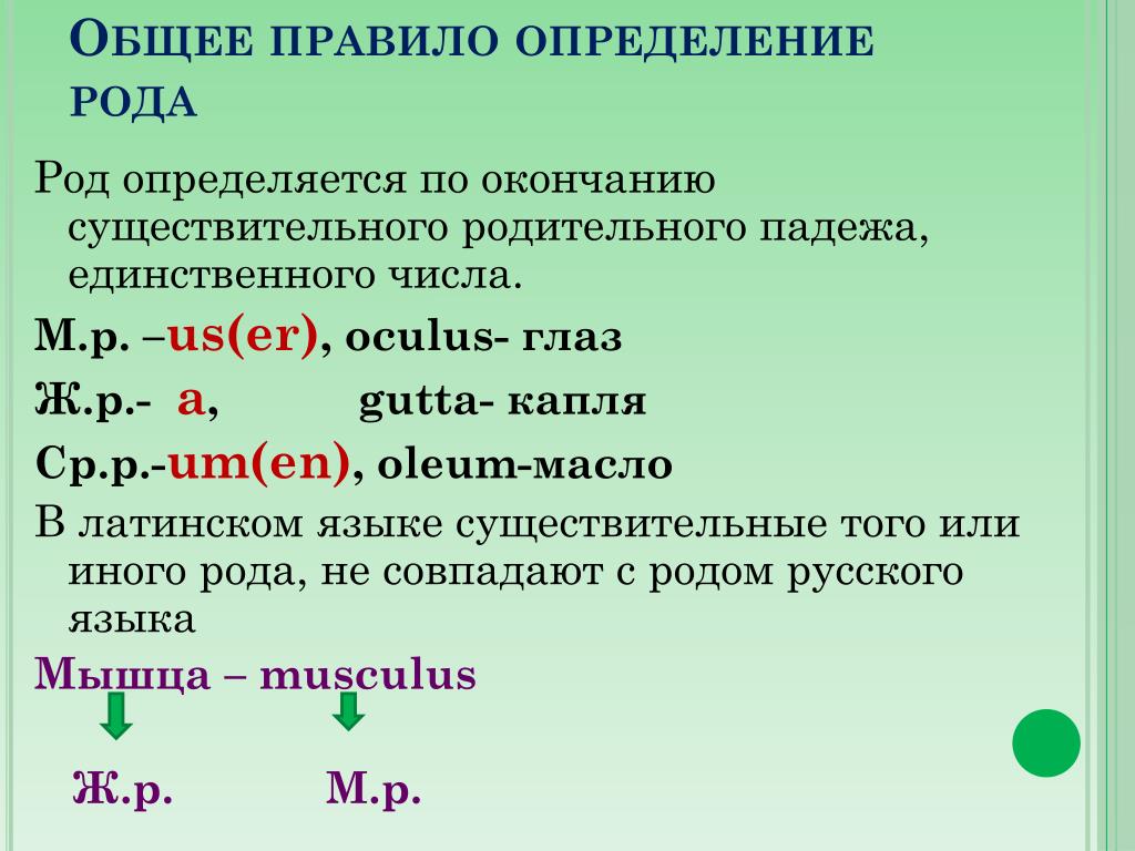 Заморозки единственное число. Как определить род в латинском языке. Род существительного в латинском языке. Определение рода существительных в латинском языке. Од существительного в латинском языке.