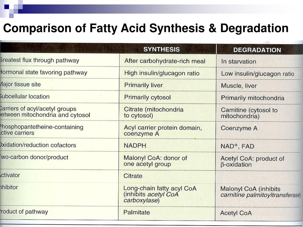 fatty-acid-synthesis