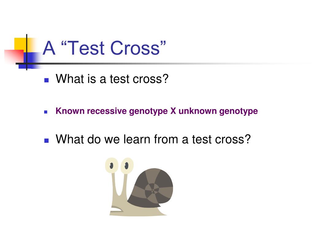 PPT - Biology 22: Genetics and Molecular Biology PowerPoint ...