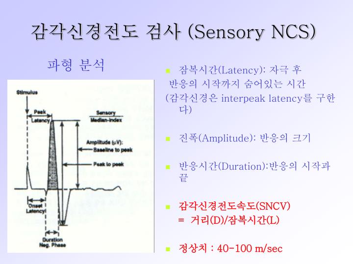 PPT - 근전도검사 (Electromyography:EMG) PowerPoint Presentation - ID:6037072