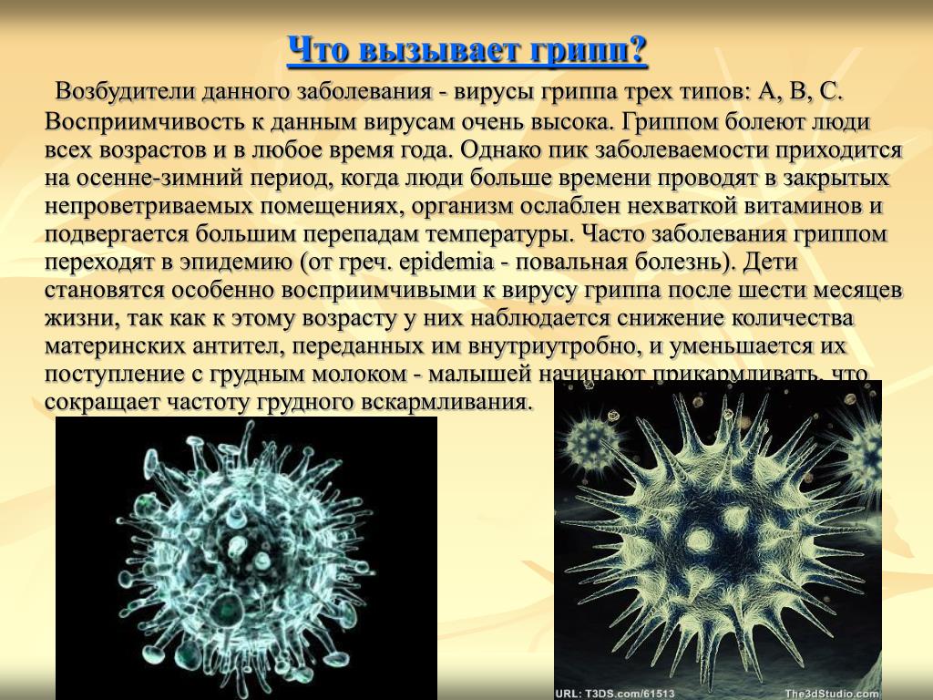 Грипп вызывают бактерии. Вирусные заболевания. Вирус гриппа. Болезни вызываемые вирусами. Вирусы и вызываемые ими заболевания.
