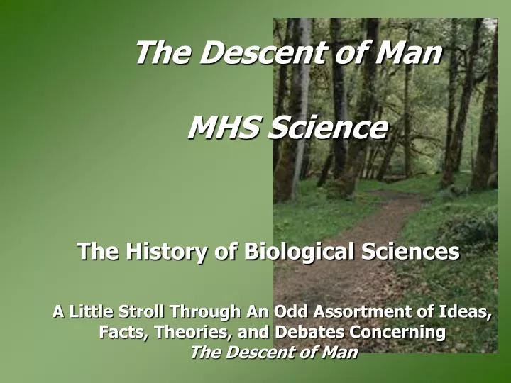 slide1 n.