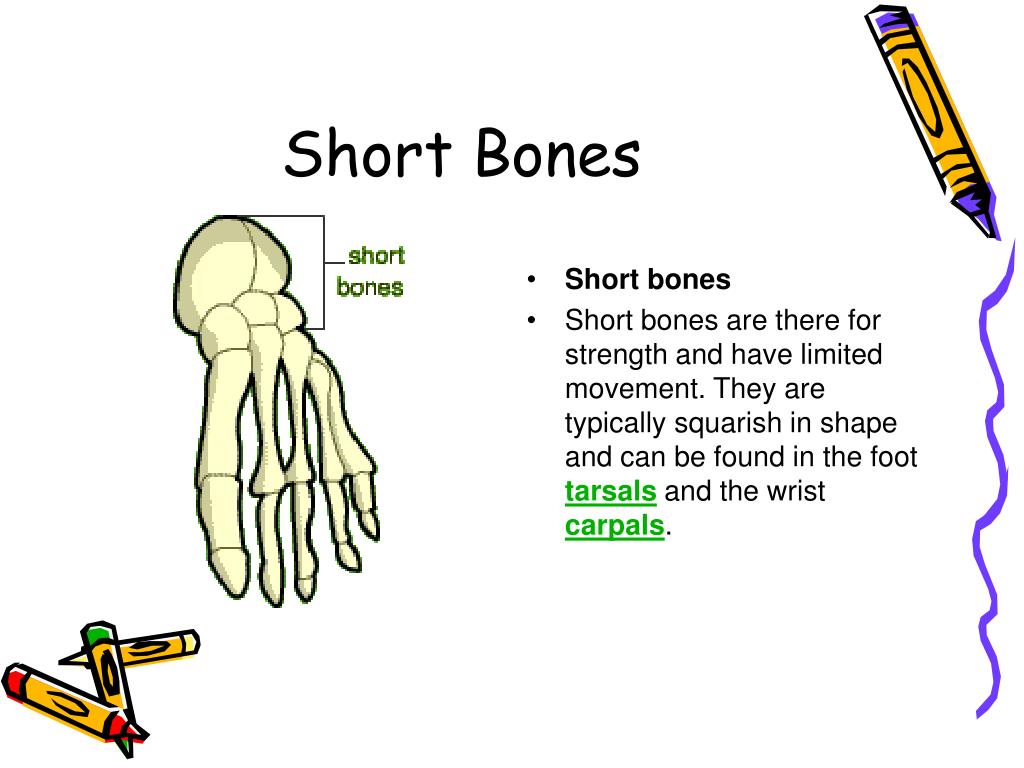 PPT GCSE REVISION PowerPoint Presentation Free Download ID 6038049