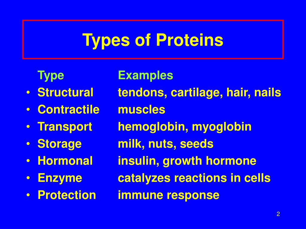 different types of proteins
