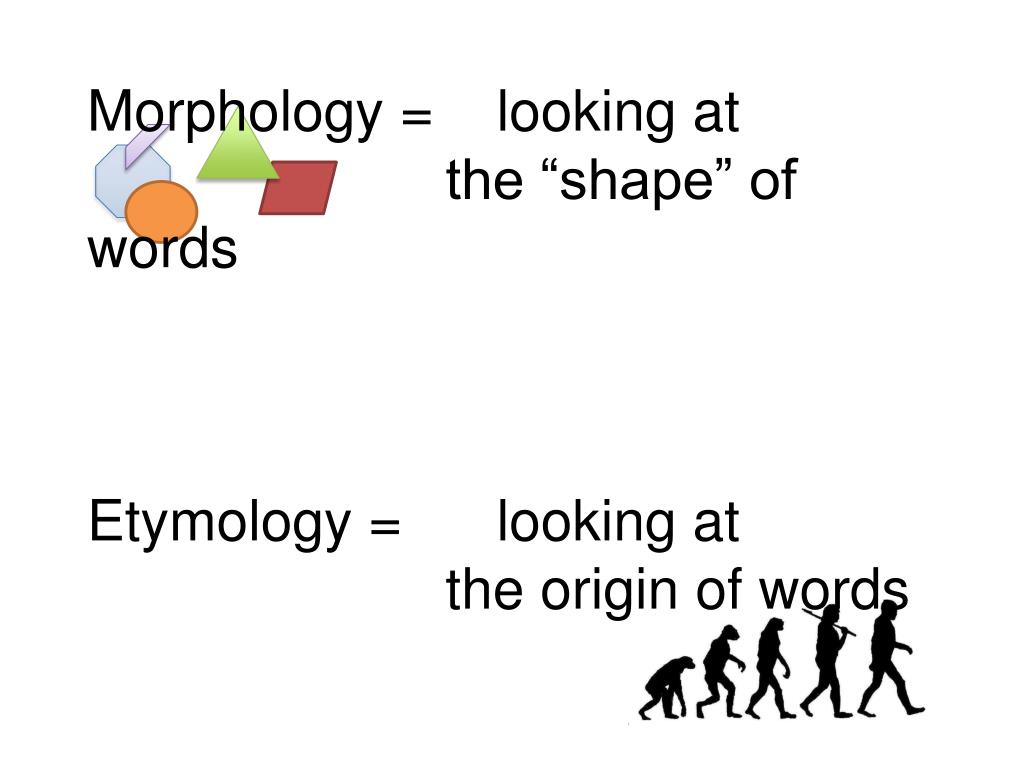 ppt-morphology-etymology-powerpoint-presentation-free-download