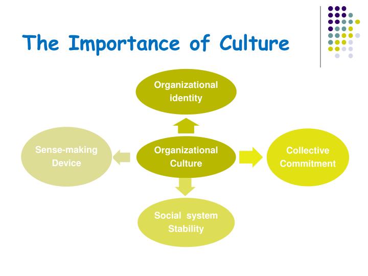 Importance Of Culture In A Company PPT - Lecture Seven Organizational Culture PowerPoint Presentation - ID