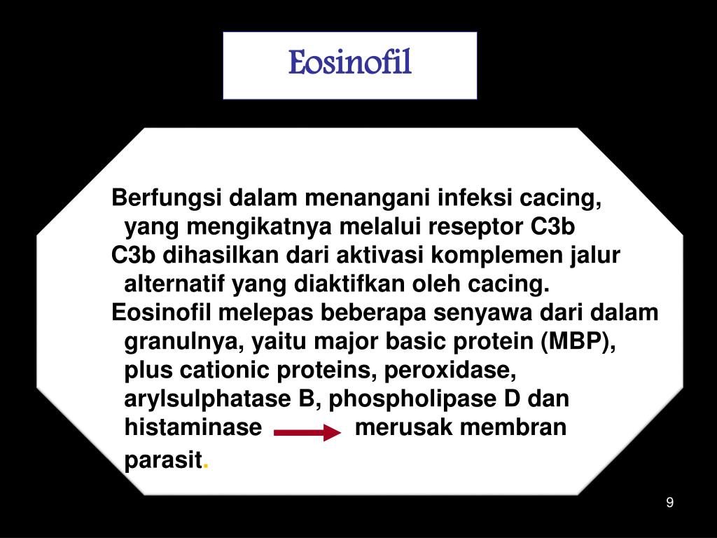 PPT - Sel-sel yang berperan dalam respon imun natural (non ...