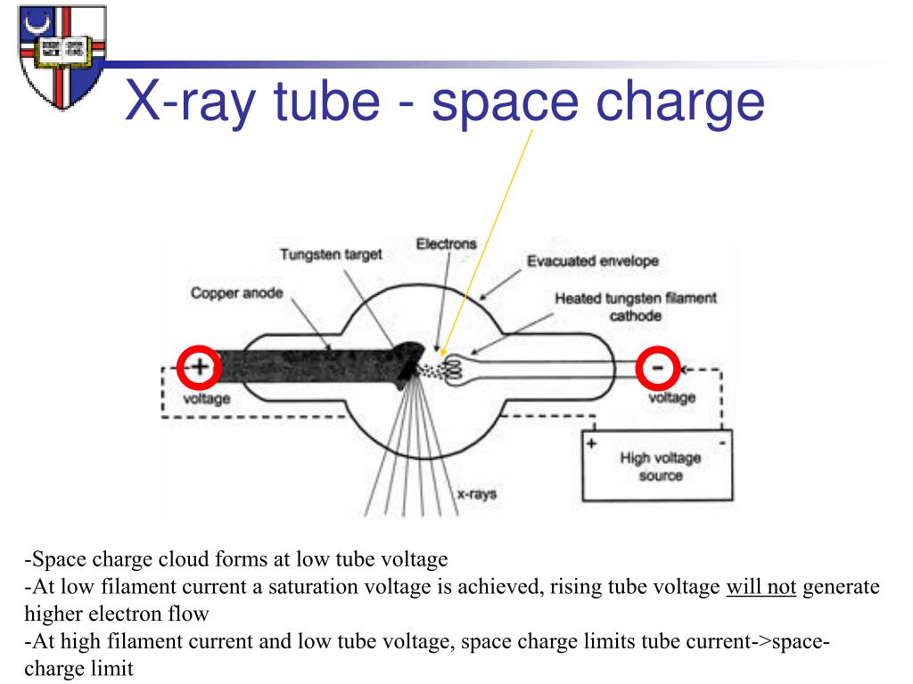 PPT Medical Imaging PowerPoint Presentation, free download ID 6043036