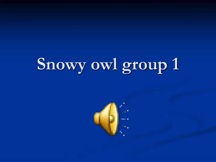 snowy owl group 1 n.