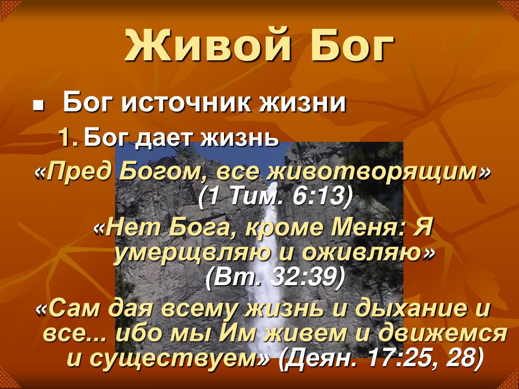 Бог источник жизни. Нет Бога кроме Бога. Бог источник всего. Живём для Бога и для России. Сколько живут боги