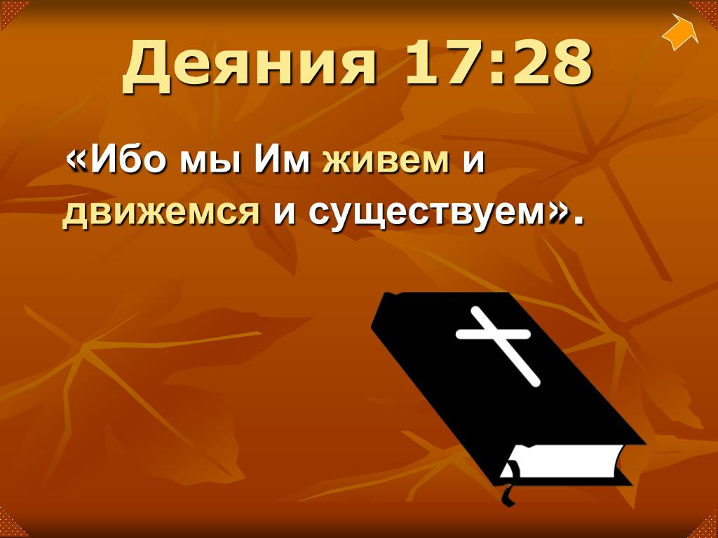 Ибо. Ибо мы им живем и движемся и существуем. Страшно впасть в руки Бога Живаго. Жаждет душа моя к Богу крепкому живому. Страшно впасть в руки Бога живого Библия.