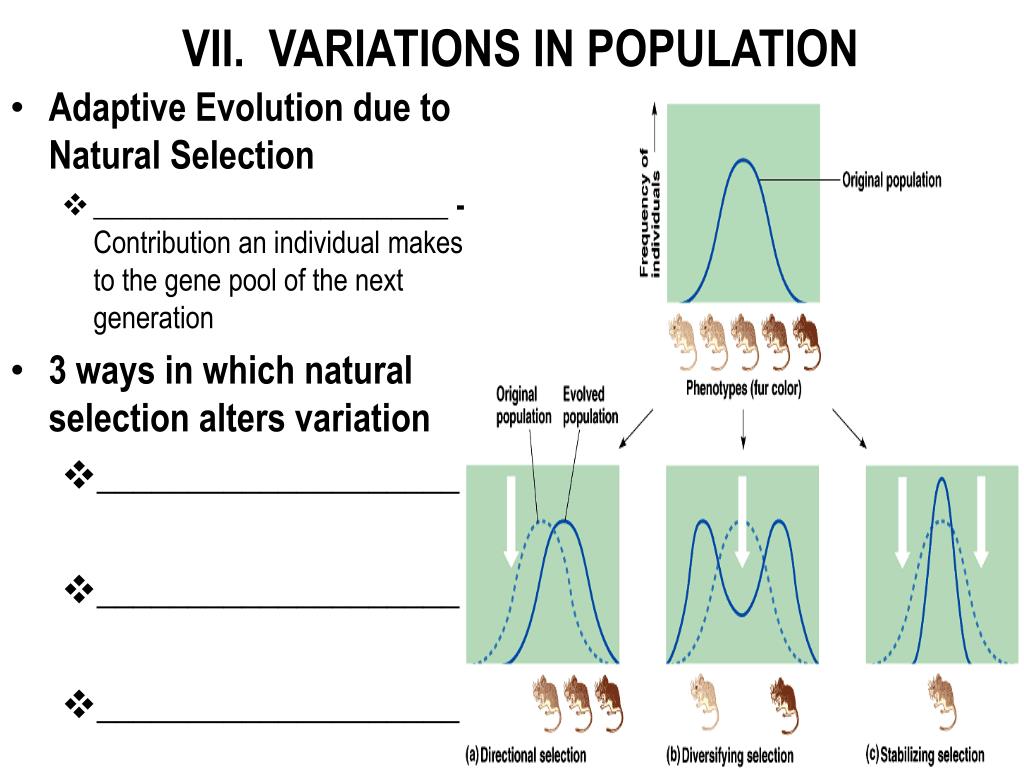 PPT Understanding Population Genetics And Evolutionary Theory Key PPT Understanding Population Genetics And Evolutionary Theory Key