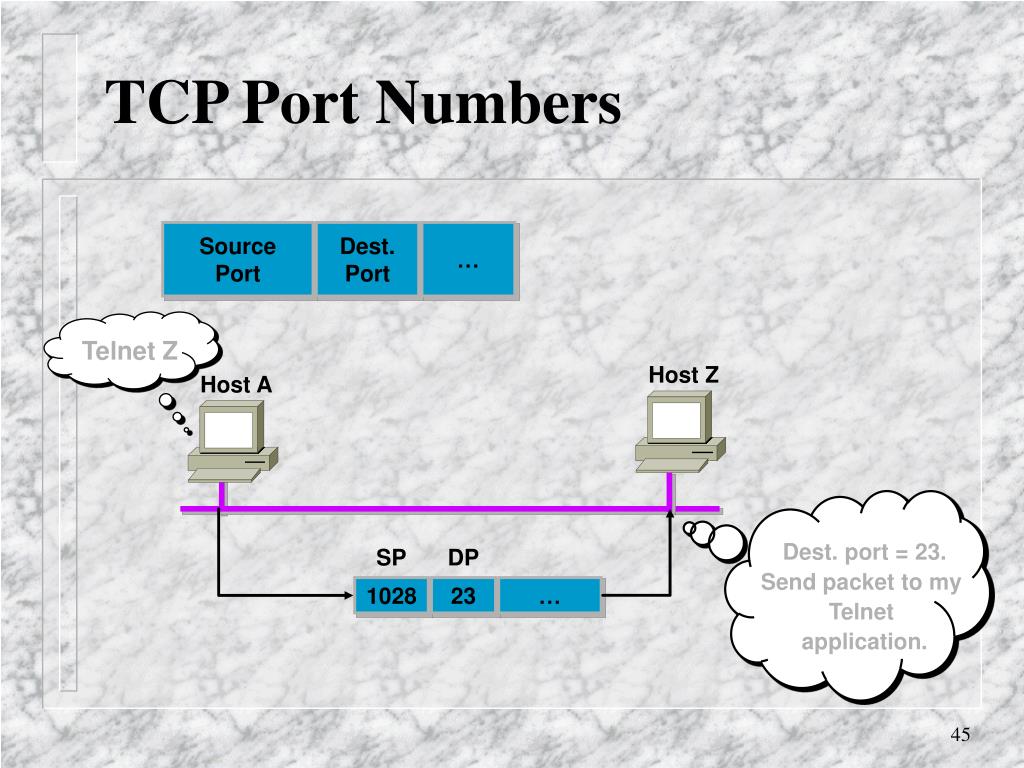 Порт tcp ip. TCP/IP разъем. TCP порт. Порты TCP IP. Стандартный порт TCP/IP.