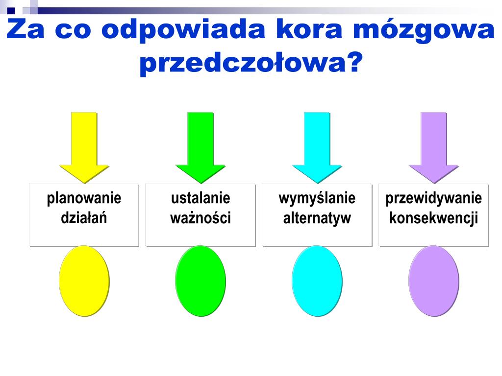 Informacja O Rozpoznanych Indywidualnych Potrzebach Rozwojowych I Edukacyjnych PPT - O potrzebach rozwojowych dziecka 6-letniego PowerPoint