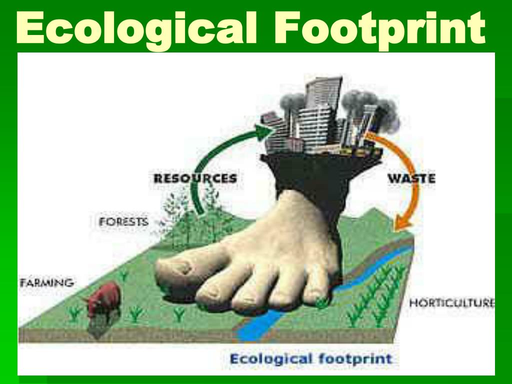 PPT Ecological Footprint PowerPoint Presentation Free Download ID 