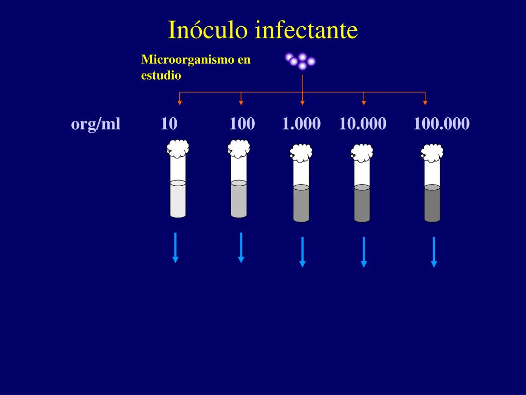 PPT - Universidad Nacional del Nordeste Facultad de Medicina PowerPoint ...
