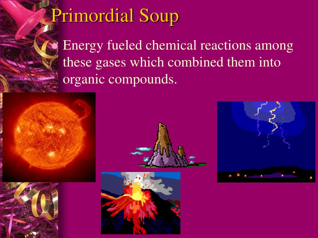 Primordial Soup L 
