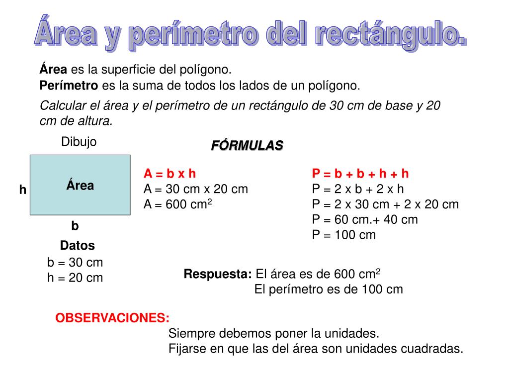 PPT - Área y perímetro del rectángulo. PowerPoint Presentation, free  download - ID:6052833