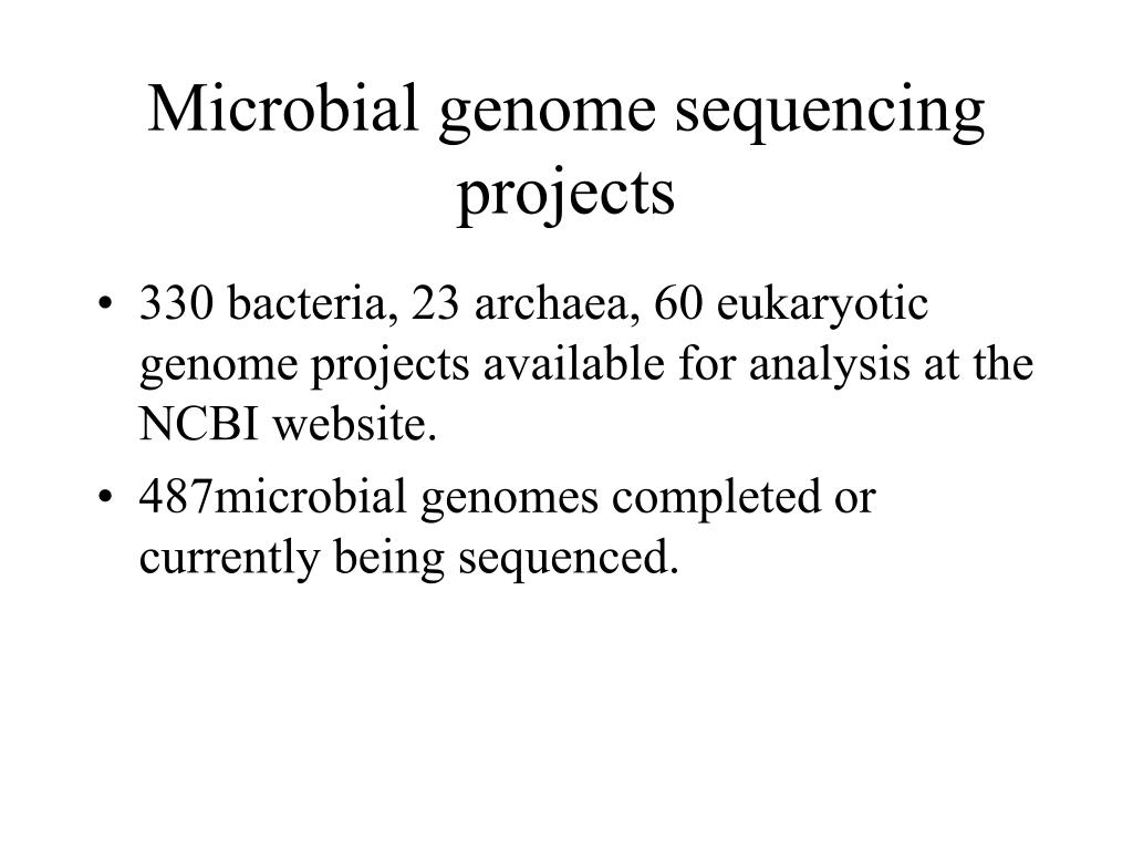 PPT - Microbial Genomes PowerPoint Presentation, Free Download - ID:6053276