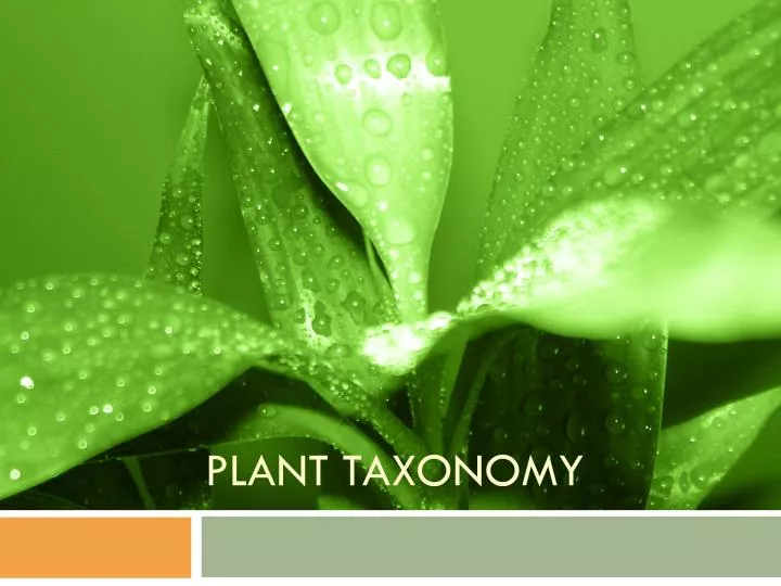 plant taxonomy n.