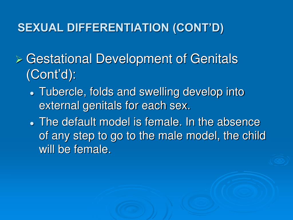 Http Www Baby2see Com Gender External_genitals Html PPT - SEX HORMONES PowerPoint Presentation, free download - ID:6057149