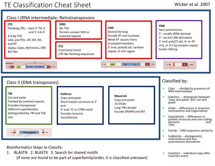 PPT - TE Classification Cheat Sheet PowerPoint ... PPT - TE Classification Cheat Sheet PowerPoint ...