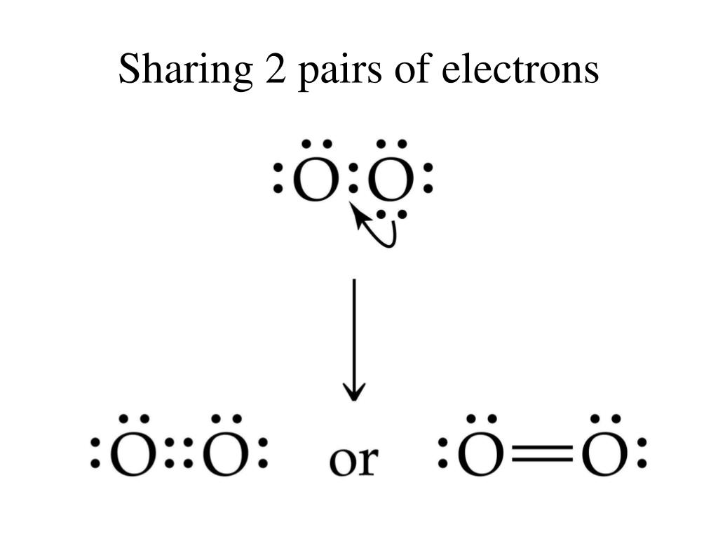 PPT - 8.1 Covalent Bonds PowerPoint Presentation, free download - ID ...