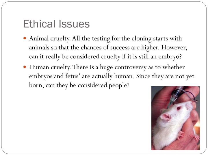 The Issue Of Animal Experimentation The Issue Of Animal Experimentation