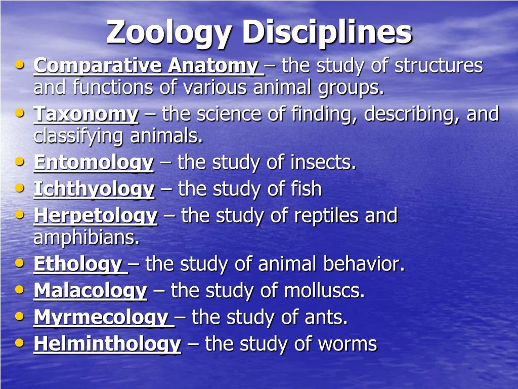 thesis about zoology