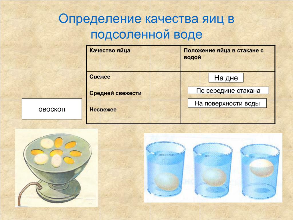 Проверить яйца на свежесть в воде домашних. Определение качества яиц. Качество яиц определяют. Определение свежести яиц в подсоленной воде. Определение качества яиц в подсоленной воде.