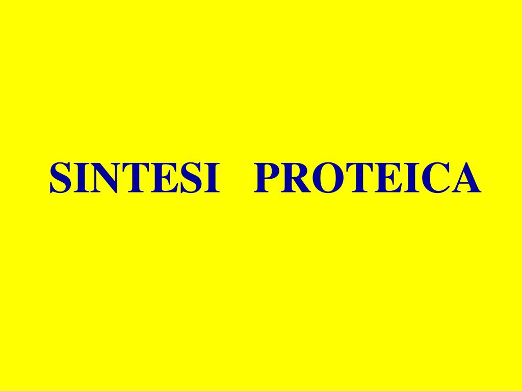 PPT - SINTESI PROTEICA PowerPoint Presentation, free download - ID:6059398