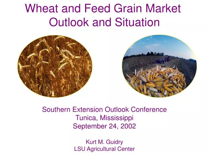 PPT - Wheat and Feed Grain Market Outlook and Situation PowerPoint