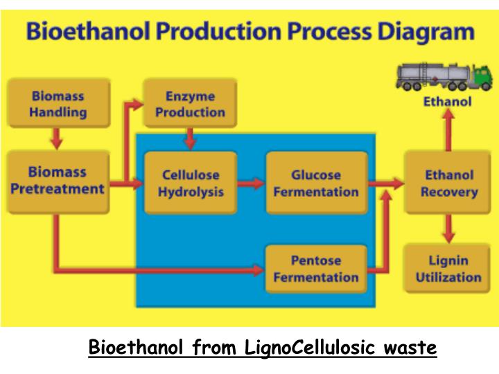 production of alcohol by fermentation essay Alcohol fermentation lab report etoh abuse alcohol production of fermentation tony d'amore essay writing on my father. production of alcohol by fermentation essay Alcohol fermentation lab report etoh abuse alcohol production of fermentation tony d'amore essay writing on my father.